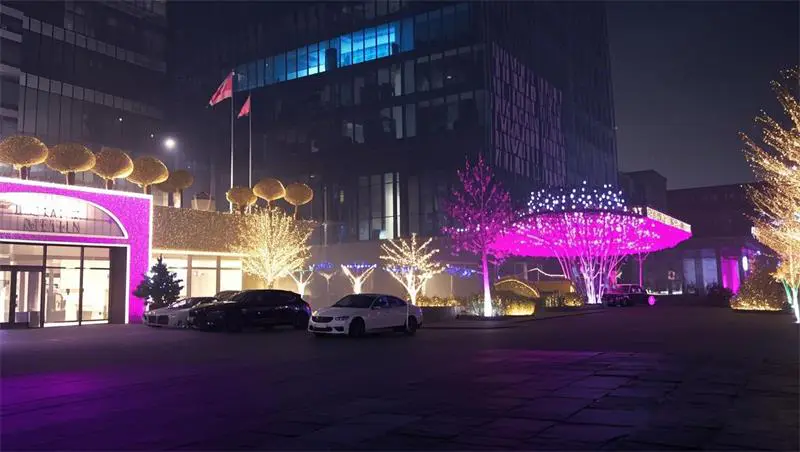 2016.12.20日 天津四季汇酒店亮化工程 效果图