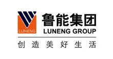 鲁能集团