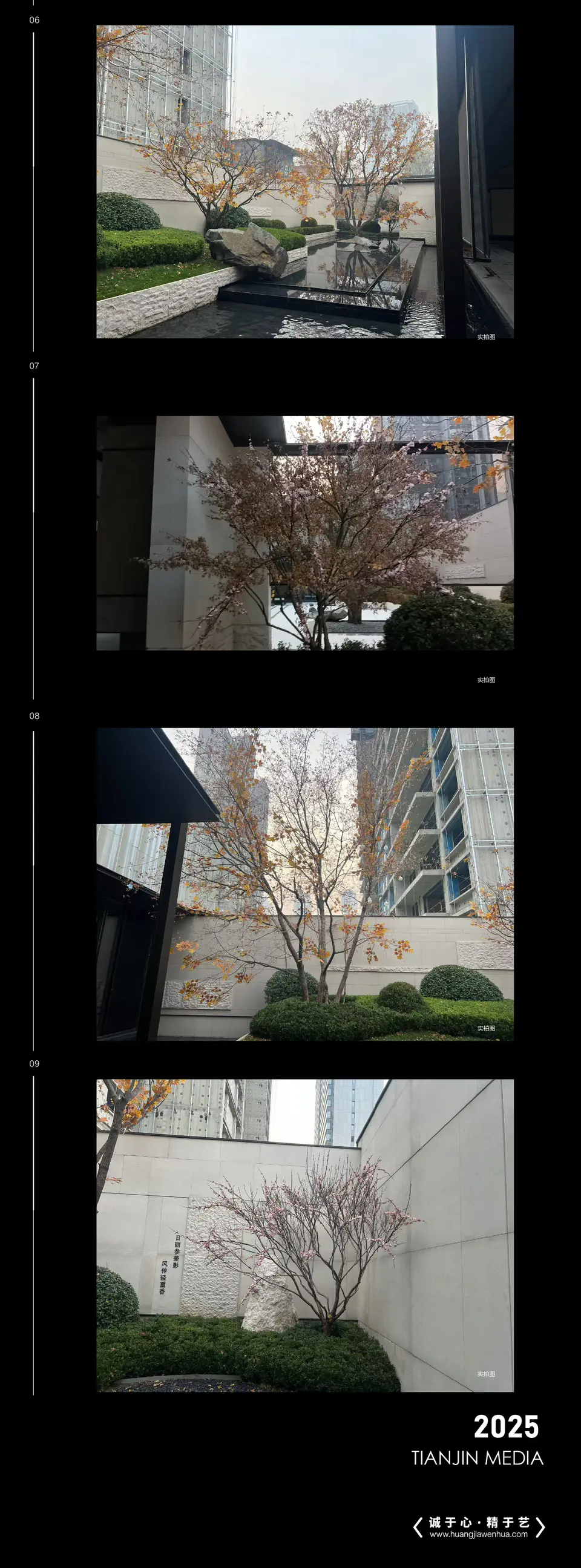 2025.11.10日 体北金茂府 商街内院树木包装 2