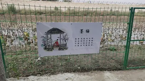 2024.08.20日 戒毒所围栏画面展示板设计制作 实景图