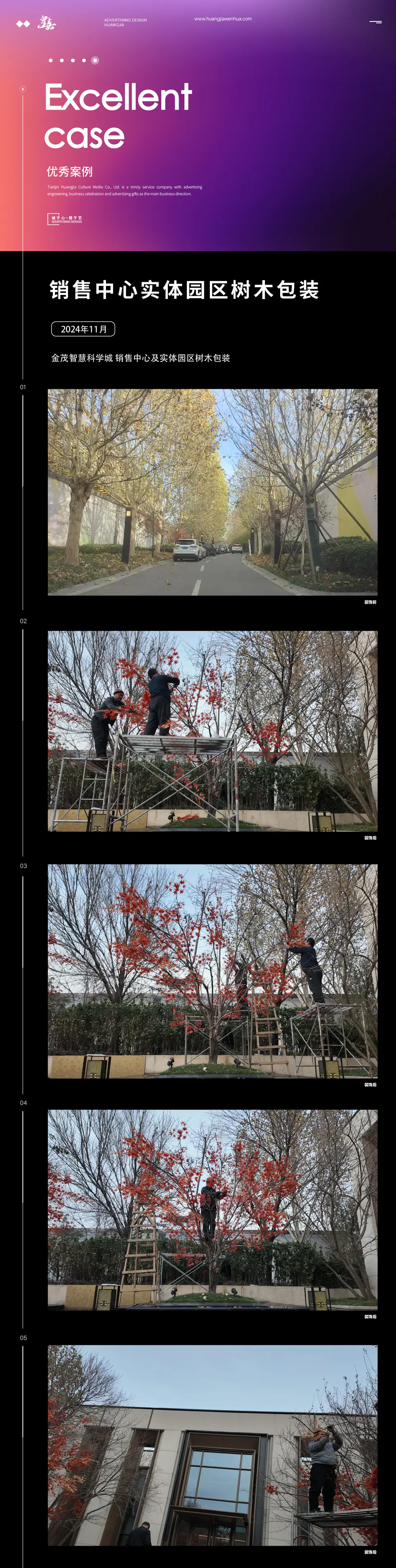2024.11.28日 金茂智慧科学城 销售中心及实体园区树木包装 1
