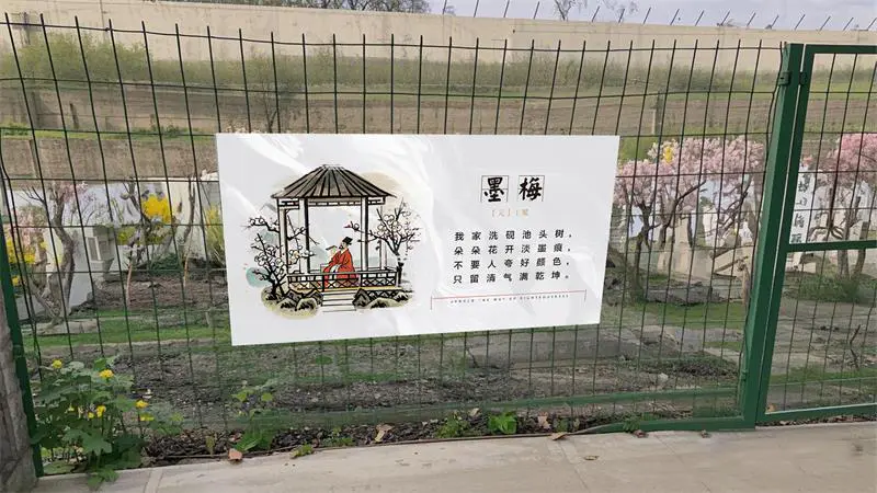 2024.08.20日 戒毒所围栏画面展示板设计制作 效果图