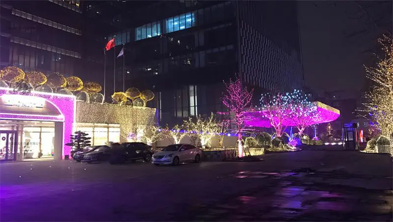 2016.12.20日 天津四季汇酒店亮化工程 实景图