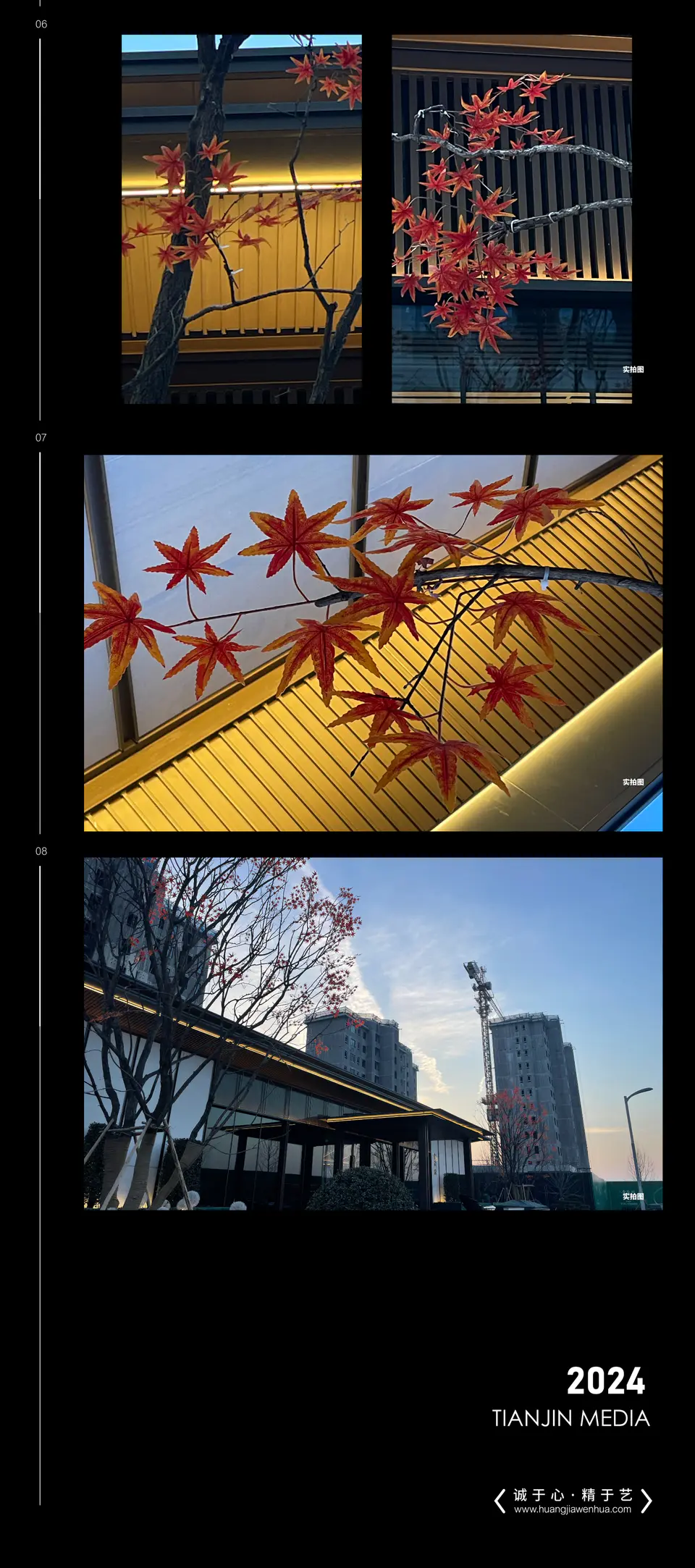 2024.12.20日 雄安金茂府冬季包装-树木包装 2