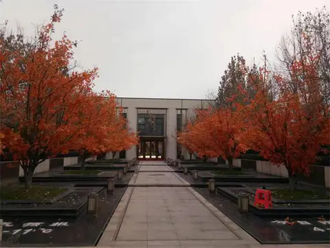 2021.11.18日 智慧科学城7号地水系树木包装树叶 实景图