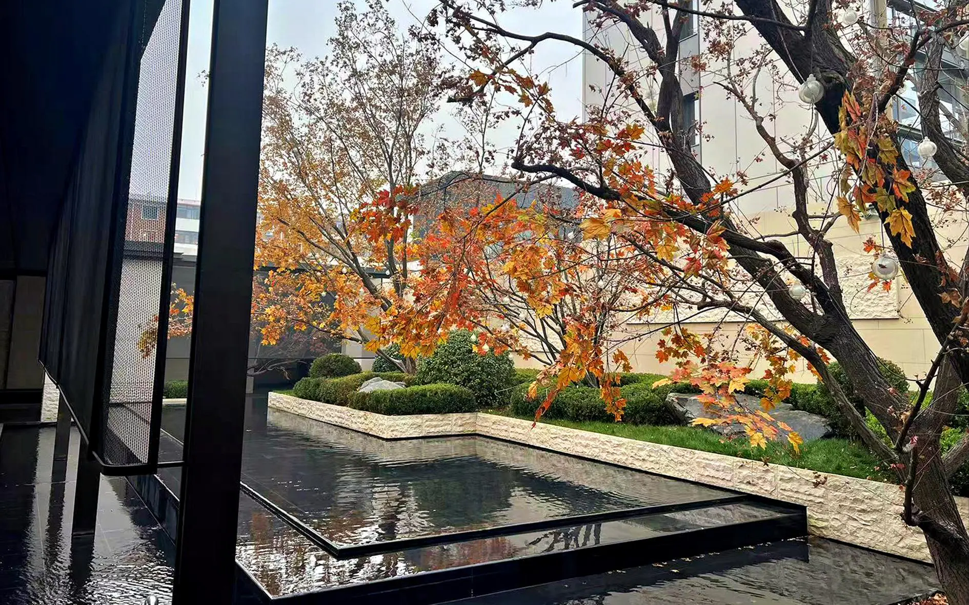 2025.11.10日 体北金茂府 商街内院树木包装 实景图