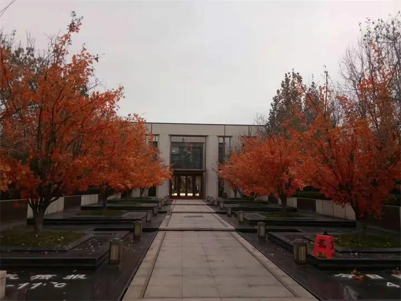 2021.11.18日 智慧科学城7号地水系树木包装树叶 效果图