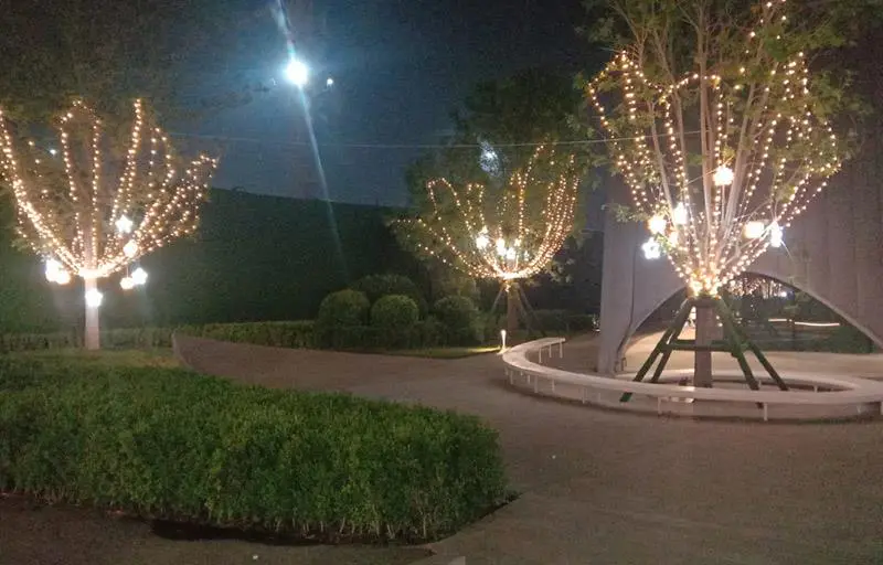 2021.6.12日 美的旭辉翰悦府树木亮化包装 实景图