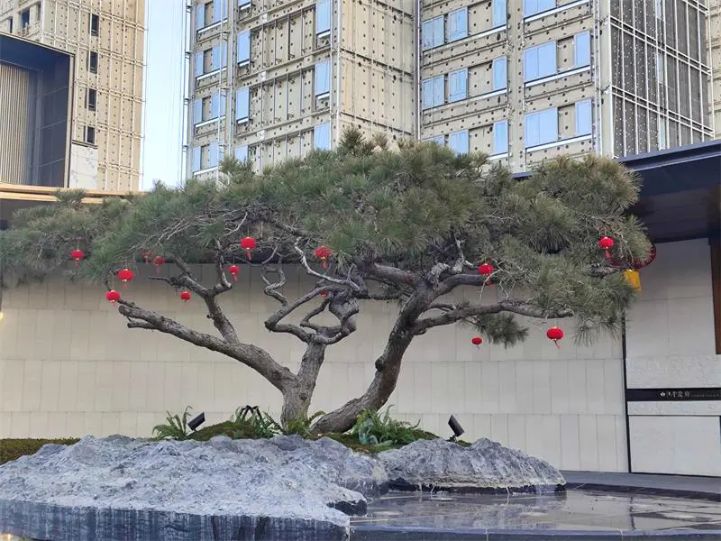 2024.12.23日 体北金茂府 新年包装 效果图