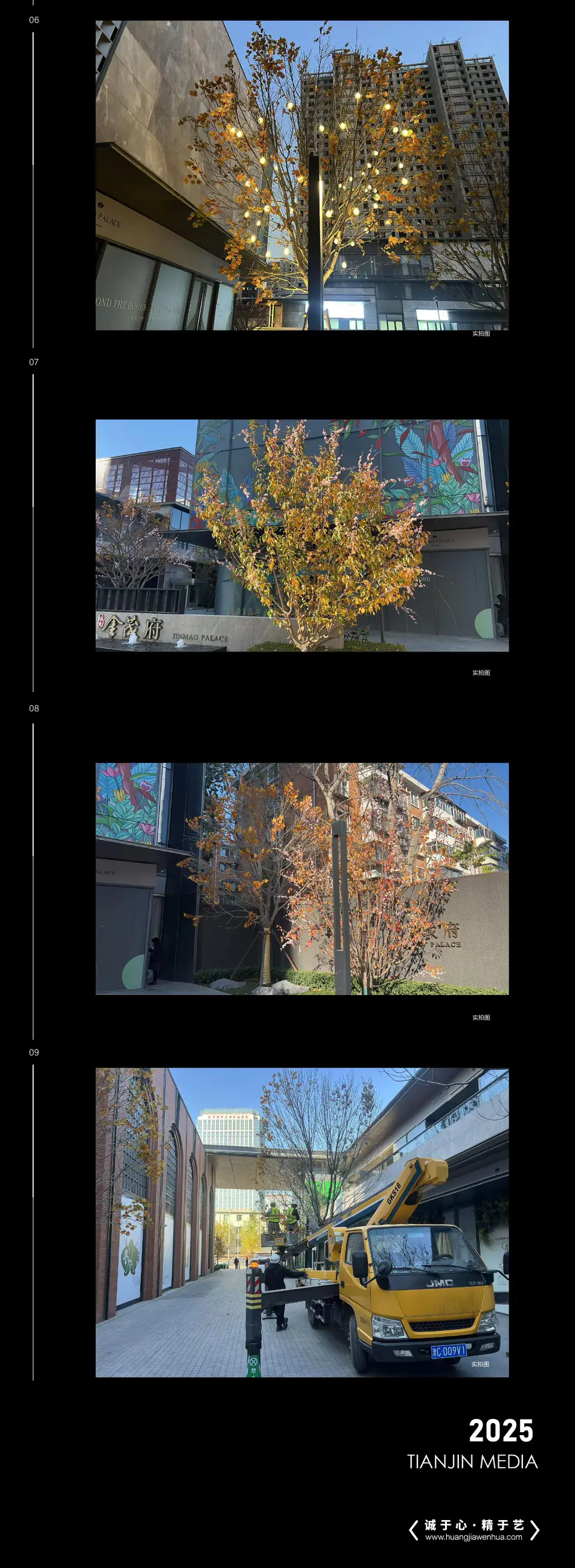 2025.11.10日 体北金茂府 商街树木包装 2