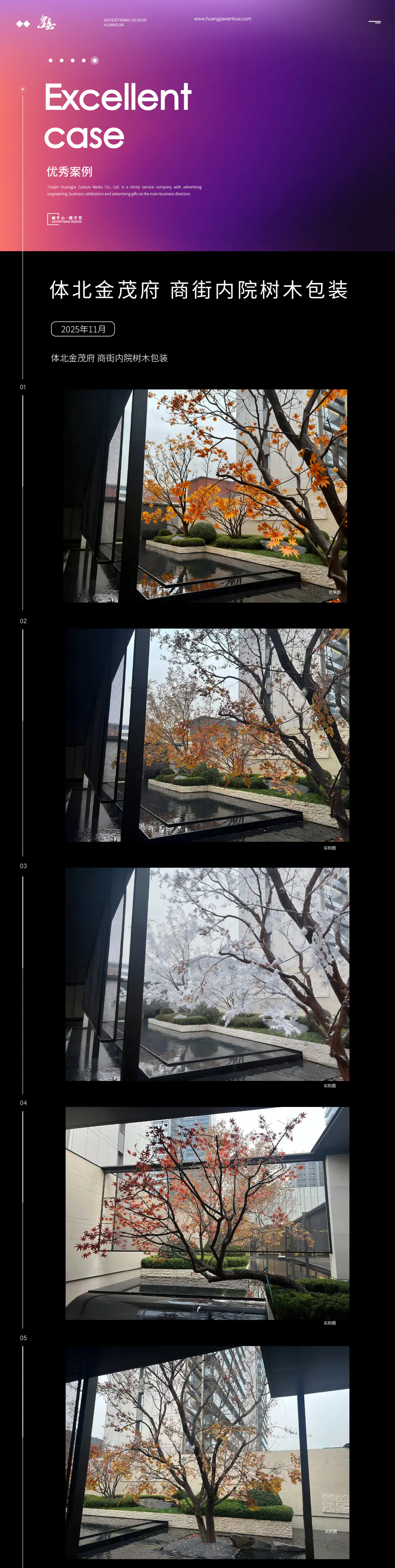 2025.11.10日 体北金茂府 商街内院树木包装 1